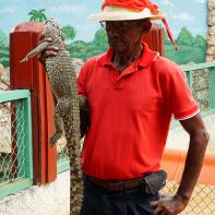Kubańczyk z krokodylkiem